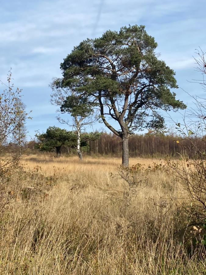 Landhausidylle Зимерат Екстериор снимка